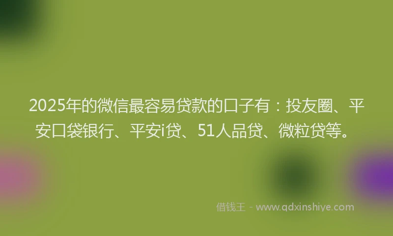 2025年的微信最容易贷款的口子有：投友圈、平安口袋银行、平安i贷、51人品贷、微粒贷等。