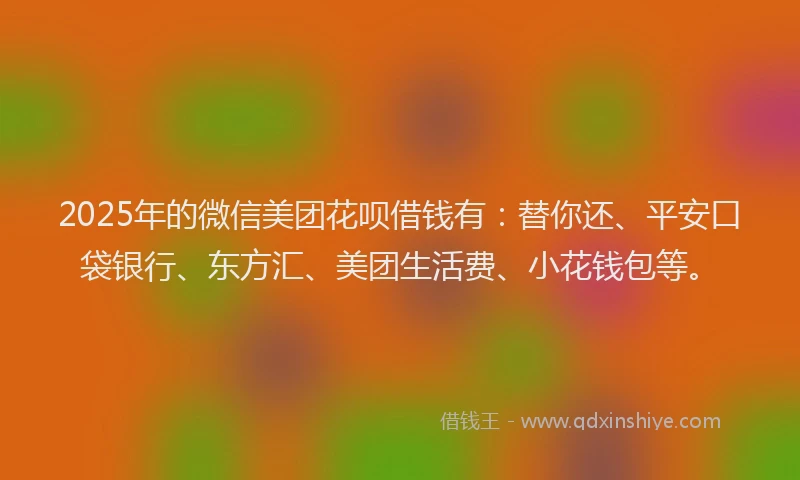 2025年的微信美团花呗借钱有：替你还、平安口袋银行、东方汇、美团生活费、小花钱包等。