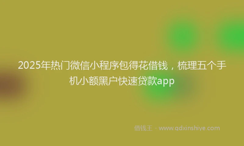2025年热门微信小程序包得花借钱，梳理五个手机小额黑户快速贷款app