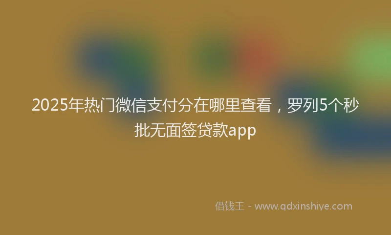 2025年热门微信支付分在哪里查看，罗列5个秒批无面签贷款app