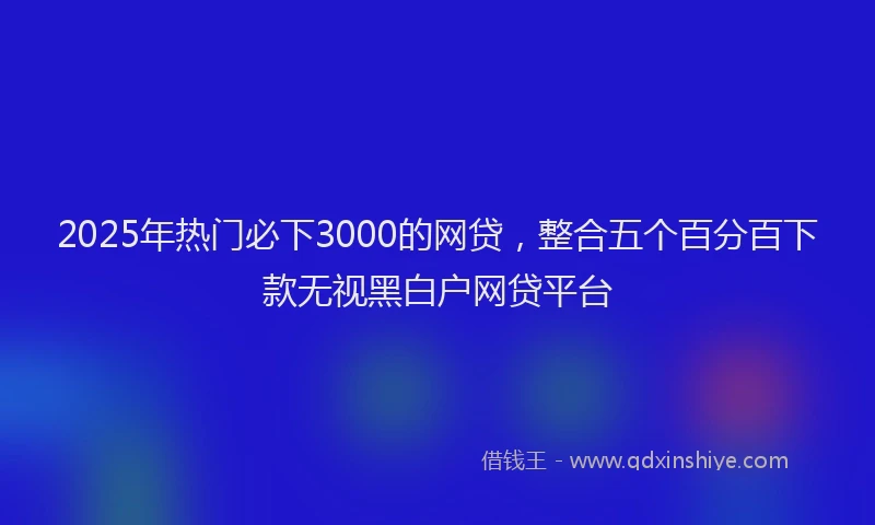 2025年热门必下3000的网贷，整合五个百分百下款无视黑白户网贷平台