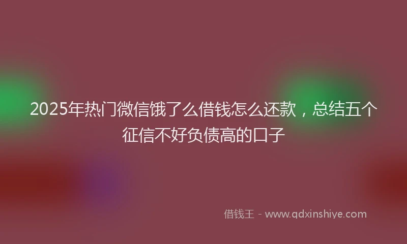 2025年热门微信饿了么借钱怎么还款，总结五个征信不好负债高的口子