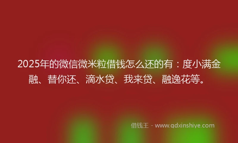2025年的微信微米粒借钱怎么还的有：度小满金融、替你还、滴水贷、我来贷、融逸花等。