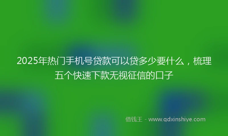 2025年热门手机号贷款可以贷多少要什么，梳理五个快速下款无视征信的口子