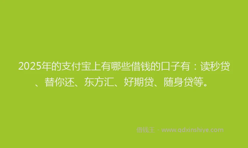 2025年的支付宝上有哪些借钱的口子有：读秒贷、替你还、东方汇、好期贷、随身贷等。