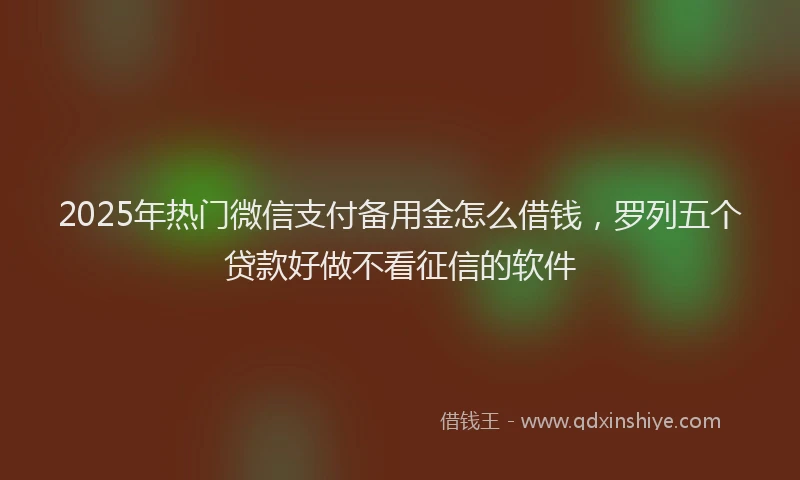 2025年热门微信支付备用金怎么借钱，罗列五个贷款好做不看征信的软件