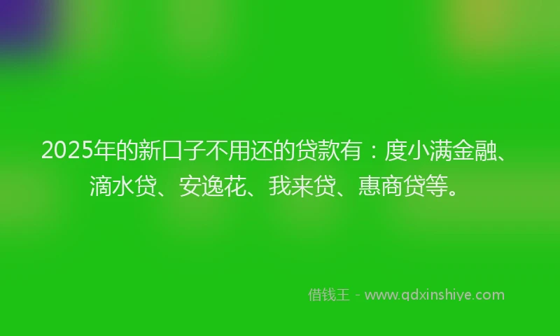 2025年的新口子不用还的贷款有：度小满金融、滴水贷、安逸花、我来贷、惠商贷等。