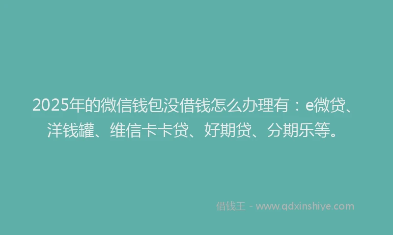 2025年的微信钱包没借钱怎么办理有：e微贷、洋钱罐、维信卡卡贷、好期贷、分期乐等。