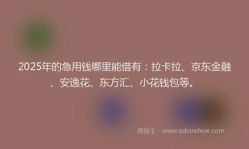 2025年的急用钱哪里能借有：拉卡拉、京东金融、安逸花、东方汇、小花钱包等。