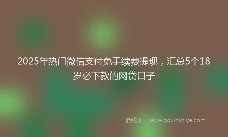 2025年热门微信支付免手续费提现，汇总5个18岁必下款的网贷口子