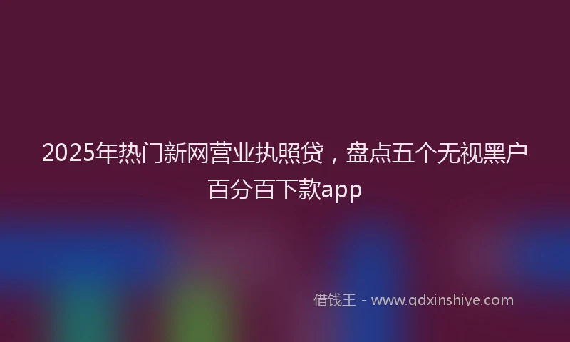 2025年热门新网营业执照贷，盘点五个无视黑户百分百下款app