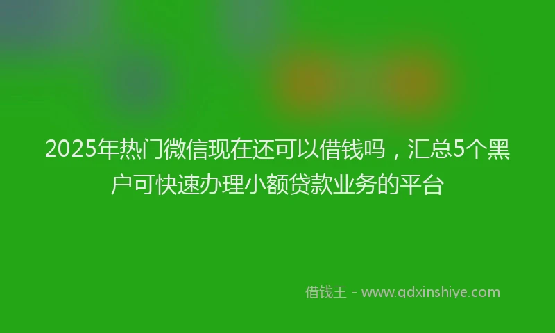 2025年热门微信现在还可以借钱吗，汇总5个黑户可快速办理小额贷款业务的平台