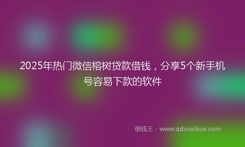 2025年热门微信榕树贷款借钱，分享5个新手机号容易下款的软件