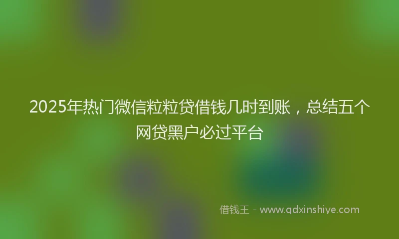 2025年热门微信粒粒贷借钱几时到账，总结五个网贷黑户必过平台