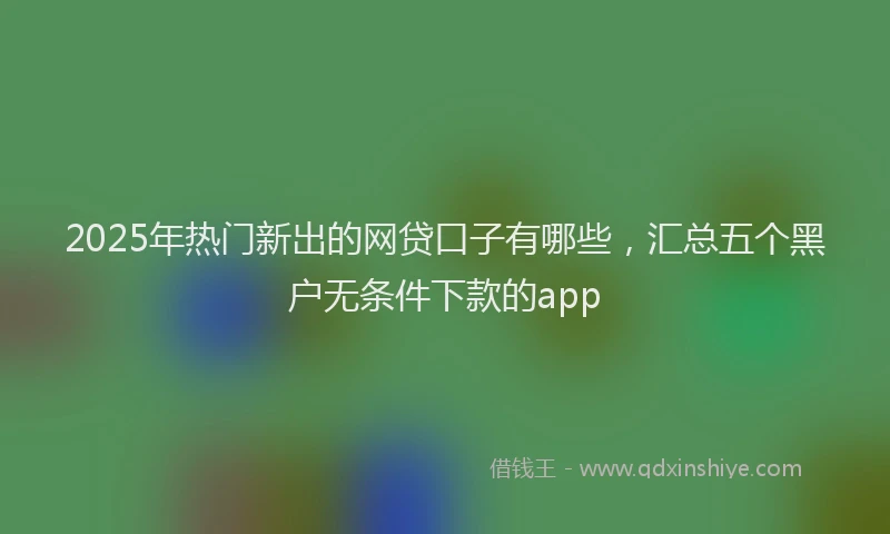 2025年热门新出的网贷口子有哪些，汇总五个黑户无条件下款的app