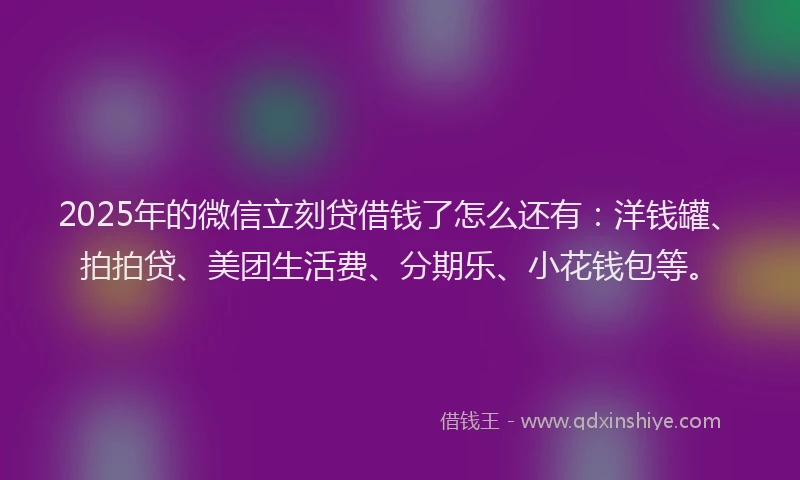 2025年的微信立刻贷借钱了怎么还有：洋钱罐、拍拍贷、美团生活费、分期乐、小花钱包等。