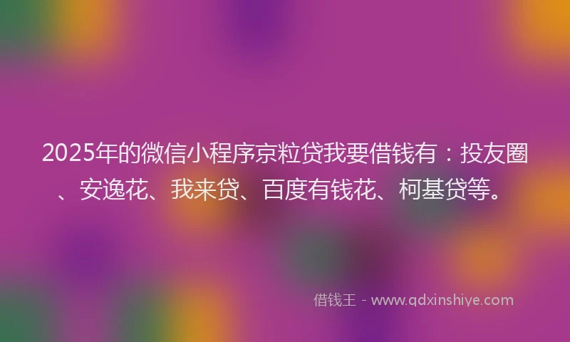 2025年的微信小程序京粒贷我要借钱有：投友圈、安逸花、我来贷、百度有钱花、柯基贷等。