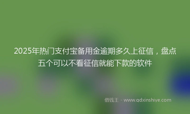 2025年热门支付宝备用金逾期多久上征信，盘点五个可以不看征信就能下款的软件