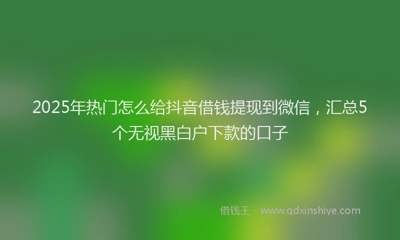 2025年热门怎么给抖音借钱提现到微信，汇总5个无视黑白户下款的口子