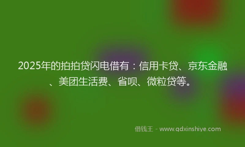 2025年的拍拍贷闪电借有：信用卡贷、京东金融、美团生活费、省呗、微粒贷等。