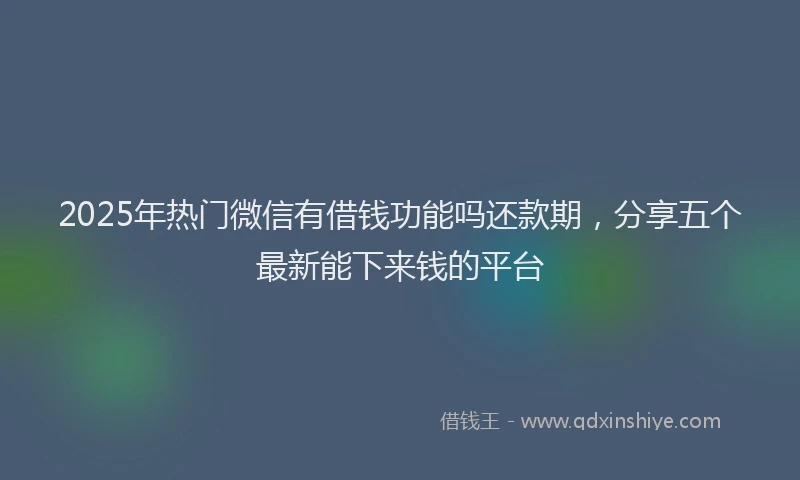 2025年热门微信有借钱功能吗还款期，分享五个最新能下来钱的平台