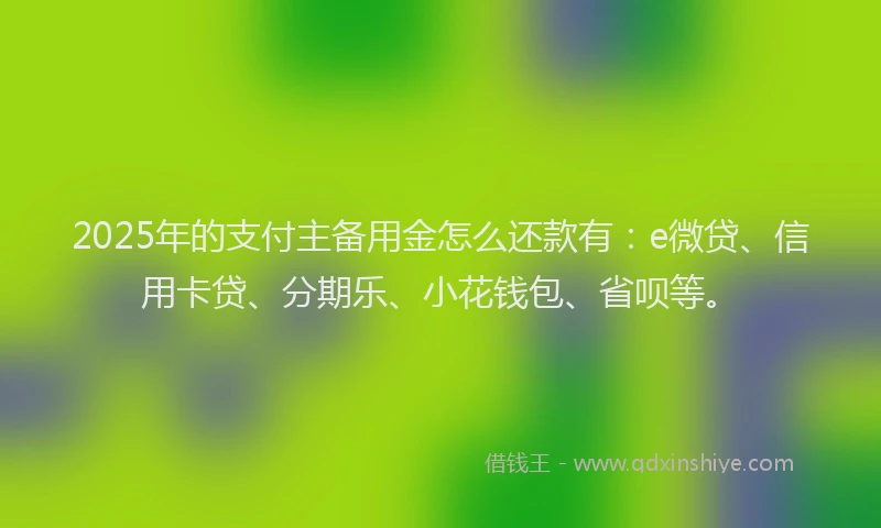2025年的支付主备用金怎么还款有：e微贷、信用卡贷、分期乐、小花钱包、省呗等。