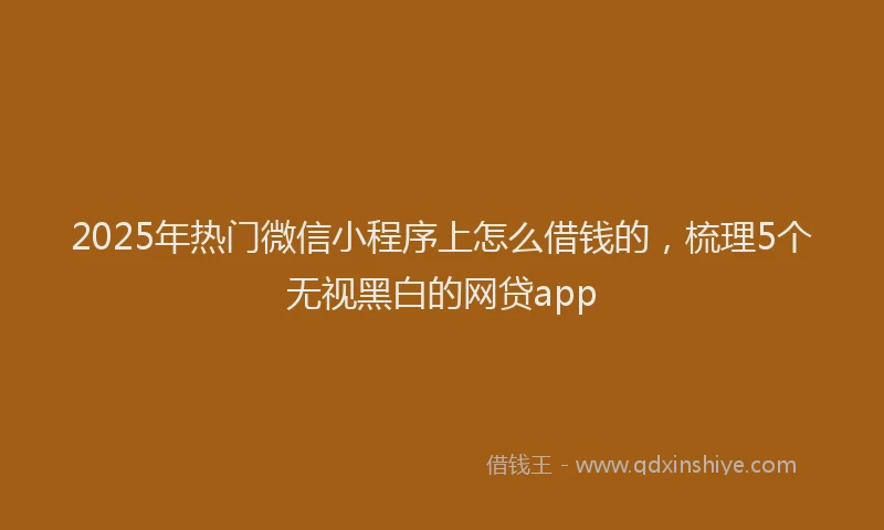2025年热门微信小程序上怎么借钱的，梳理5个无视黑白的网贷app