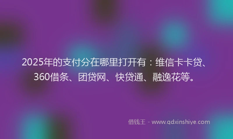 2025年的支付分在哪里打开有：维信卡卡贷、360借条、团贷网、快贷通、融逸花等。