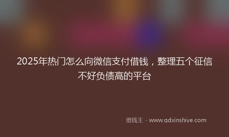 2025年热门怎么向微信支付借钱，整理五个征信不好负债高的平台