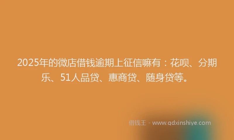 2025年的微店借钱逾期上征信嘛有：花呗、分期乐、51人品贷、惠商贷、随身贷等。