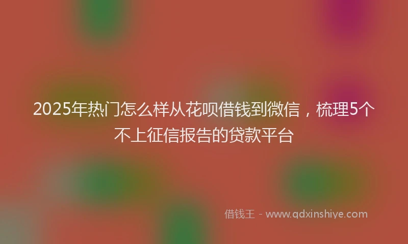 2025年热门怎么样从花呗借钱到微信，梳理5个不上征信报告的贷款平台