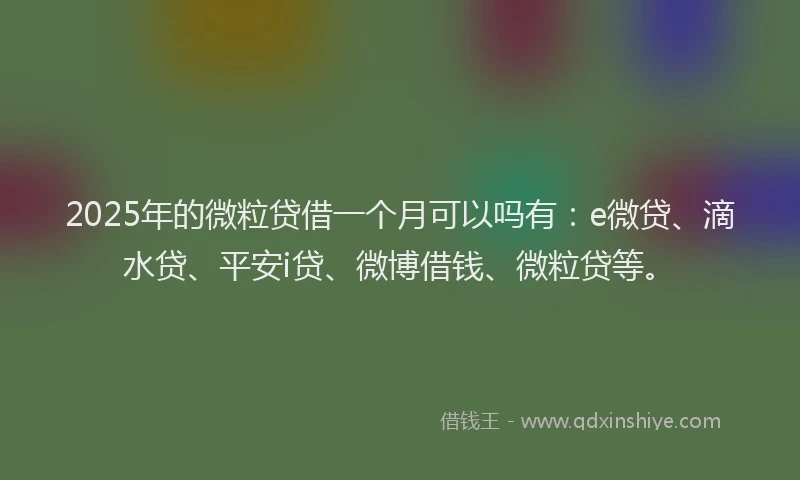 2025年的微粒贷借一个月可以吗有：e微贷、滴水贷、平安i贷、微博借钱、微粒贷等。