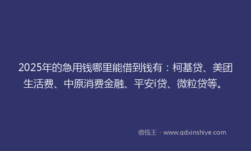 2025年的急用钱哪里能借到钱有：柯基贷、美团生活费、中原消费金融、平安i贷、微粒贷等。