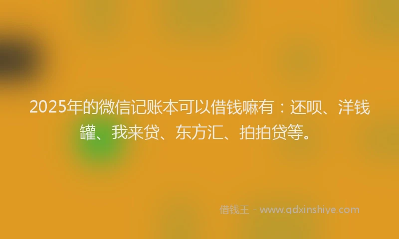 2025年的微信记账本可以借钱嘛有：还呗、洋钱罐、我来贷、东方汇、拍拍贷等。
