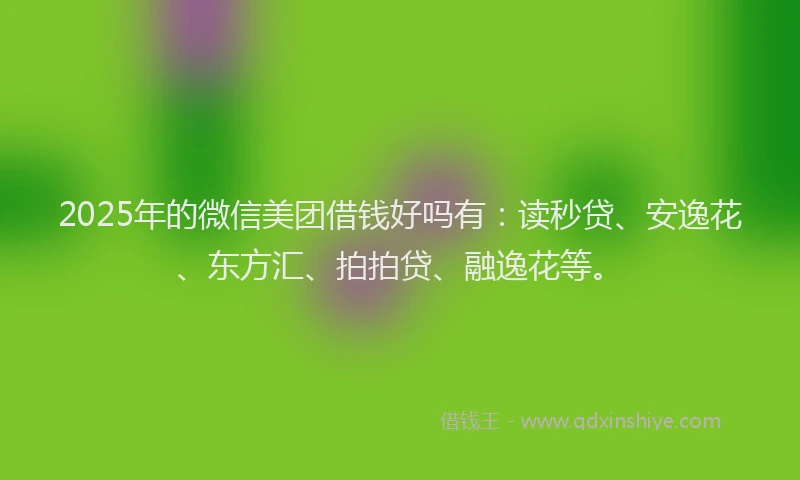 2025年的微信美团借钱好吗有：读秒贷、安逸花、东方汇、拍拍贷、融逸花等。