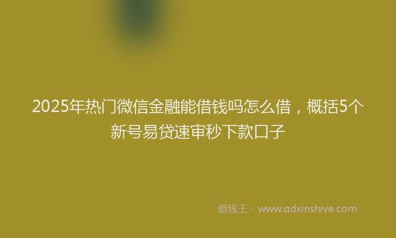2025年热门微信金融能借钱吗怎么借，概括5个新号易贷速审秒下款口子