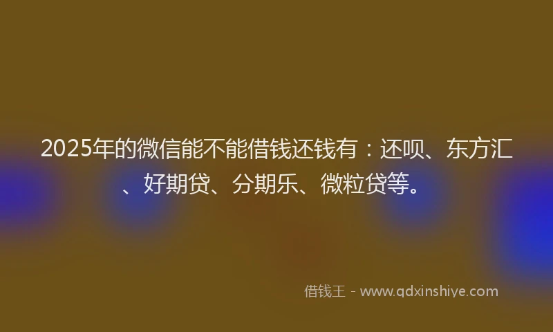 2025年的微信能不能借钱还钱有：还呗、东方汇、好期贷、分期乐、微粒贷等。