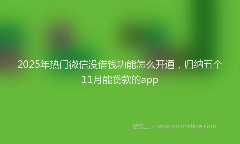 2025年热门微信没借钱功能怎么开通，归纳五个11月能贷款的app