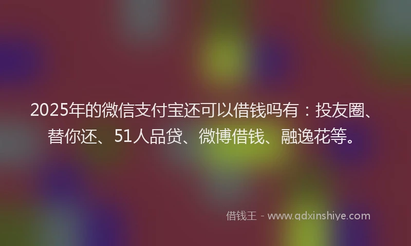 2025年的微信支付宝还可以借钱吗有：投友圈、替你还、51人品贷、微博借钱、融逸花等。
