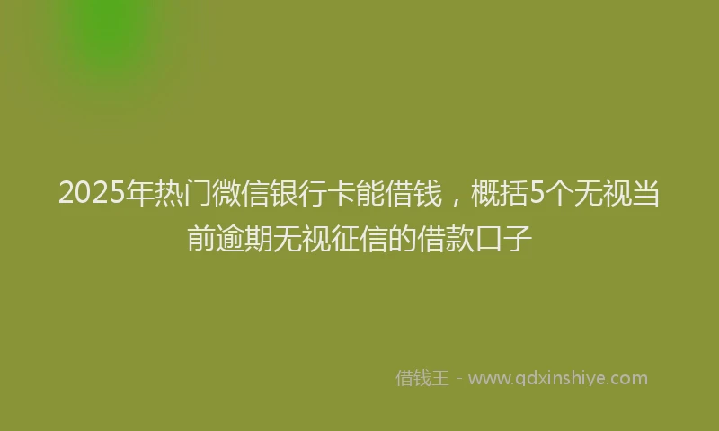 2025年热门微信银行卡能借钱，概括5个无视当前逾期无视征信的借款口子