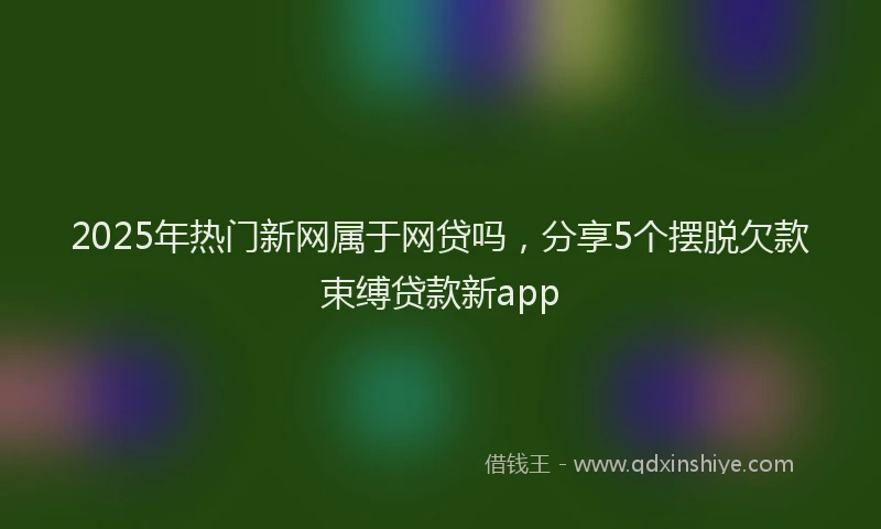 2025年热门新网属于网贷吗，分享5个摆脱欠款束缚贷款新app