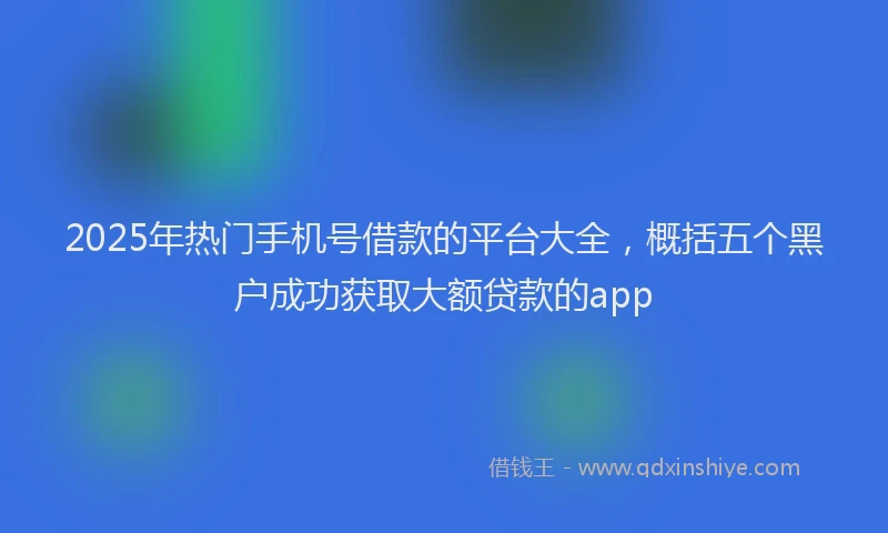 2025年热门手机号借款的平台大全，概括五个黑户成功获取大额贷款的app