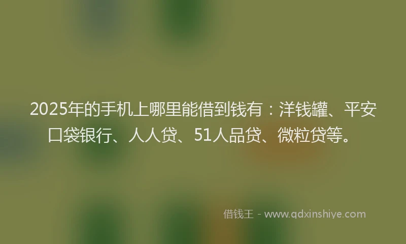 2025年的手机上哪里能借到钱有：洋钱罐、平安口袋银行、人人贷、51人品贷、微粒贷等。
