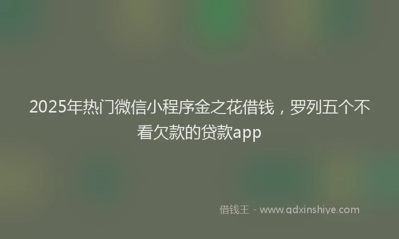 2025年热门微信小程序金之花借钱，罗列五个不看欠款的贷款app