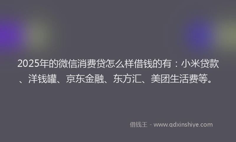 2025年的微信消费贷怎么样借钱的有：小米贷款、洋钱罐、京东金融、东方汇、美团生活费等。