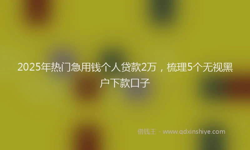 2025年热门急用钱个人贷款2万，梳理5个无视黑户下款口子