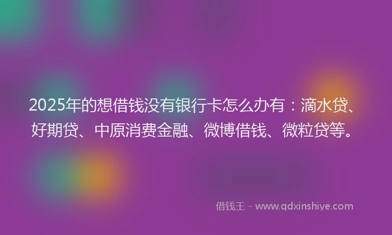 2025年的想借钱没有银行卡怎么办有：滴水贷、好期贷、中原消费金融、微博借钱、微粒贷等。