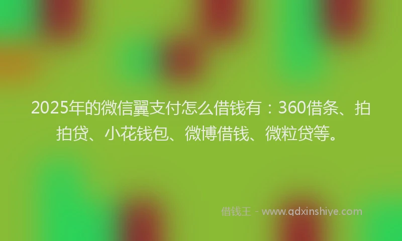 2025年的微信翼支付怎么借钱有：360借条、拍拍贷、小花钱包、微博借钱、微粒贷等。