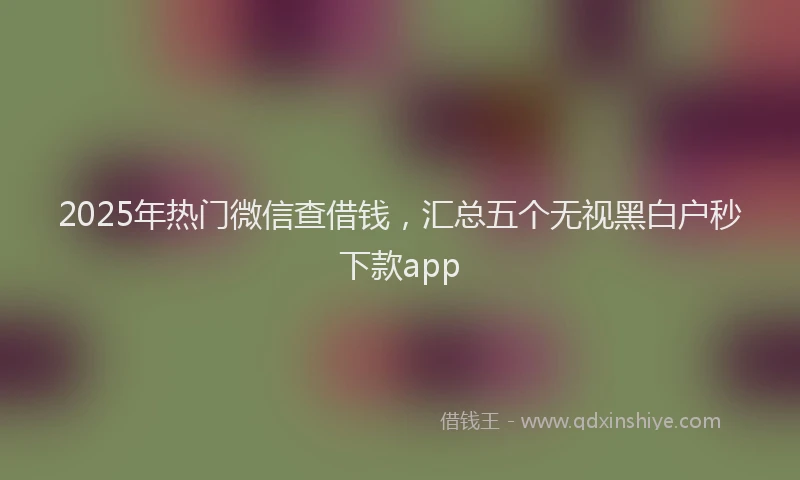 2025年热门微信查借钱，汇总五个无视黑白户秒下款app