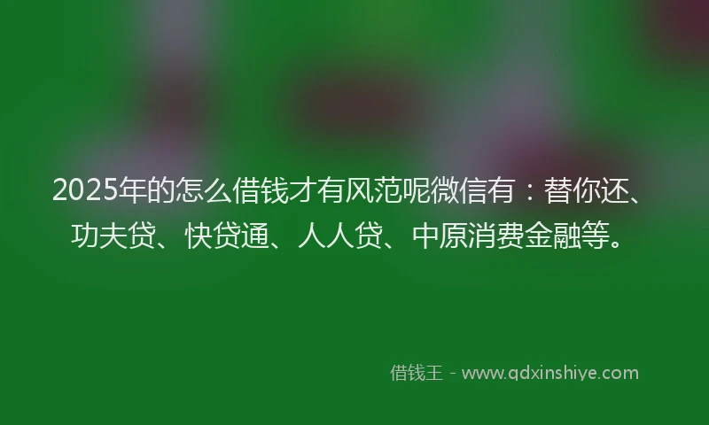 2025年的怎么借钱才有风范呢微信有：替你还、功夫贷、快贷通、人人贷、中原消费金融等。